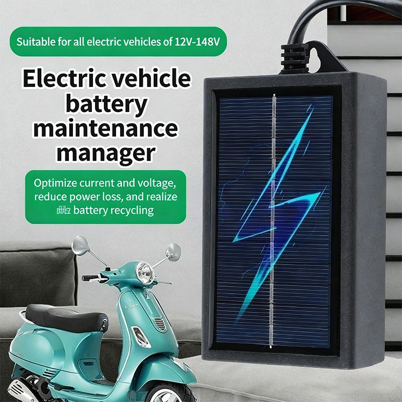 Solar Powered Charger - Ładowarka akumulatorów 12V 24V zasilana energią